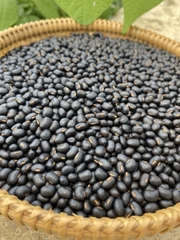Trà Đậu Đen Xanh Lòng An Hòa rang củi mộc thủ công có hạ thổ HSD 12 tháng thương hiệu An Hòa Farm
