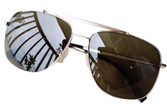 Kính Lacoste Polarized Men's Modern Pilot Sunglasses