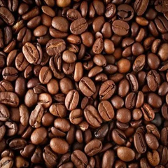 Cà phê Robusta Đăk Lăk