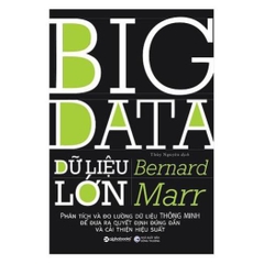 Dữ Liệu Lớn - Big Data