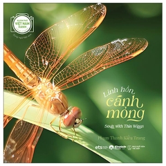 Linh Hồn Cánh Mỏng - Souls With Thin Wings - Song Ngữ Việt-Anh