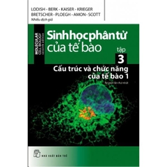 Sinh Học Phân Tử Của Tế Bào 03 - Cấu Trúc Và Chức Năng Của Tế Bào Phần 1