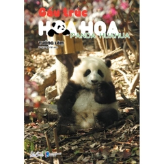 Gấu Trúc Hoa Hoa
