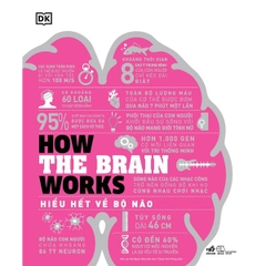 Hiểu Hết Về Bộ Não How The Brain Works (Bìa Cứng)