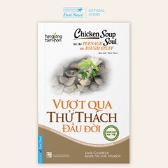 Chicken Soup For The Soul 11 - Vượt Qua Thử Thách Đầu Đời
