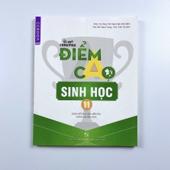 Bí Quyết Chinh Phục Điểm Cao Lớp 11