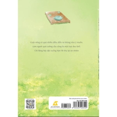 Đặt Xuống Bộn Bề Thu Lại An Nhiên