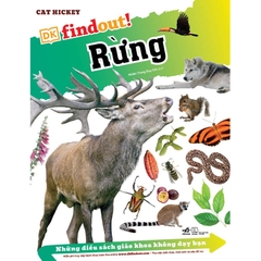 Bộ Dk Findout - Những Điều Sách Giáo Khoa Không Dạy Bạn (05 Cuốn Lẻ)