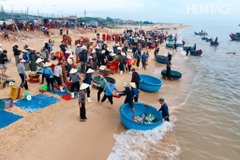 TOUR DU LỊCH QUẢNG BÌNH 4 NGÀY 3 ĐÊM TRỌN GÓI: PHONG NHA KẺ BÀNG – BIỂN NHẬT LỆ – SUỐI NƯỚC MOỌC – VŨNG CHÙA