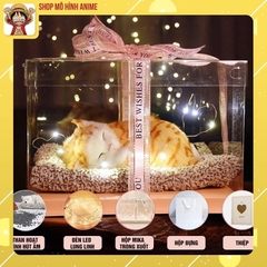 Quà Tặng Sinh Nhật, Lưu Niệm Hộp Trong Suốt Thú Cưng, Decor Trang Trí, Quà Tặng Các Dịp Lễ Đặc Biệt
