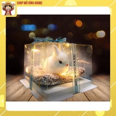 Quà Tặng Sinh Nhật, Lưu Niệm Hộp Trong Suốt Thú Cưng, Decor Trang Trí, Quà Tặng Các Dịp Lễ Đặc Biệt