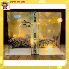 Quà Tặng Sinh Nhật, Lưu Niệm Hộp Trong Suốt Thú Cưng, Decor Trang Trí, Quà Tặng Các Dịp Lễ Đặc Biệt