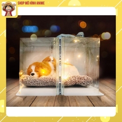 Hộp Quà Thú Bông Tặng Sinh Nhật, Ngày Lễ Đăc Biệt, Đầy Đủ Phụ Kiện Đèn Led, Ruy Băng, Thiệp,Túi Xách, Quà Tặng Sinh Nhật