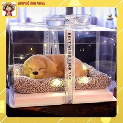 Quà Tặng, Quà Lưu Niệm Hộp Trong Suốt Thú Cưng Dễ Thương, Decor Phòng Ngủ, Quà Tặng Sinh Nhật, Lưu Niệm