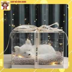 Hộp Quà Tặng Sinh Nhật, Hộp Quà Thú Cưng Cáo Trắng Dễ Thương, Decor Trang Trí, Thích Hợp Làm Quà Tặng