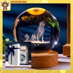 Combo Quả Cầu Pha Lê 3D Phát Sáng Hình 12 Con Giáp Kèm Hộp Đựng Sang Trọng, Đồ Decor Trang Trí, Quà Tặng Sinh Nhật