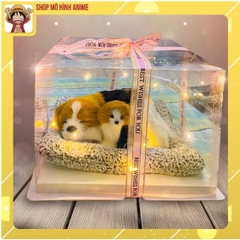 Quà Tặng, Quà Lưu Niệm Hộp Trong Suốt Thú Cưng Dễ Thương, Decor Phòng Ngủ, Quà Tặng Sinh Nhật, Lưu Niệm