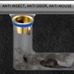 Van Thoát Sàn Nhà Vệ Sinh - BEE031