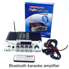 Bộ khuếch đại karaoke công suất cao bluetooth 2 kênh 12V / 100-220V | BEE120