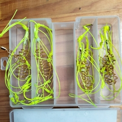 Lưỡi Câu Lăng Xê Dạ Quang