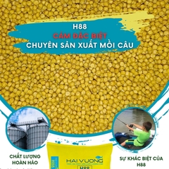 MC03 Cám Thơm Câu Cá H88 Công Ty Hải Vương,