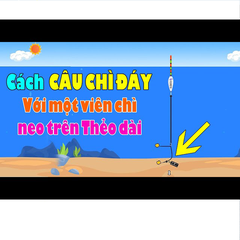 Combo 5 Chì Neo Đáy Có Mà Ní Câu Đài Chuyên Dùng Câu Cá Nhát