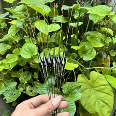 Phao Nano Hắc Tử Có Đèn Câu Đêm , Phao Đài Có Đèn Cảm Biến