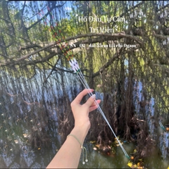 Phao Hố Đấu SN Tự Cân Không Chì  9 nấc và 15 nấc