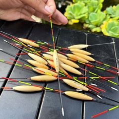 Phao Cỏ Lau Phi Thanh, Chuyên Dùng Câu Nước Nông, Câu Lửng, Cá Nhát