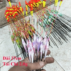 Phao Câu Đài Long Nhãn, Đầu To, Tín Hiệu Tốt, Dành cho người mắt yếu