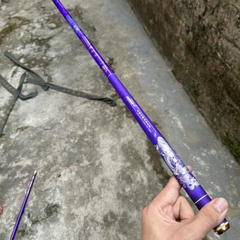 Cần câu tay BASHEN Thắng Lợi Tím 6h 19i( Tặng kèm đọt phụ và bộ trục 3260 )
