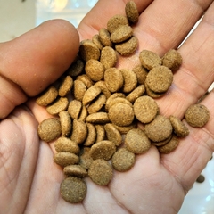 Thức Ăn Cao Cấp Cho Cá Chép KOI HAVU KOI FOOD, Tăng Trưởng, Lên Màu, Sức Đề Kháng Cao