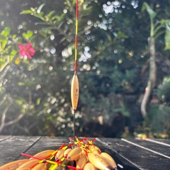 Phao Cỏ Lau Phi Thanh, Chuyên Dùng Câu Nước Nông, Câu Lửng, Cá Nhát