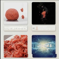 Tôm Tươi Nam Cực , dùng câu cá rô phi, chép tự nhiên và dịch vụ