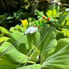 Phao Hố Đấu Câu Chép Tăm To JX.P01, Nhĩn rõ phao khi câu xa,