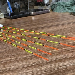 Phao Lông Công Phượng Hoàng Lửa