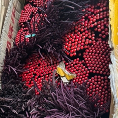 Đọt Cần, Ngọn Cần Câu Tay, đọt Cacbon 5h, 6h và 8h