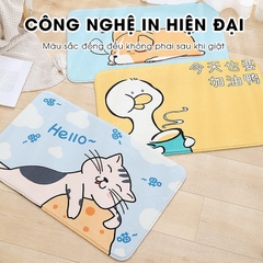 Thảm lau chân hoạt hình 40x60 lông Cashmere dày 10mm siêu thấm hút họa tiết dễ thương