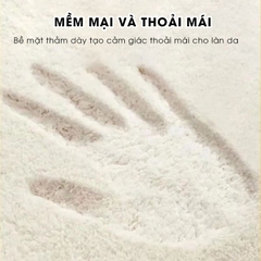 Thảm lau chân hoạt hình 40x60 lông Cashmere dày 10mm siêu thấm hút họa tiết dễ thương