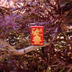 Bật Lửa ZIPPO - Classic - Eastern Design (Rồng Chùa Đỏ Meta)