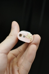 Bật Lửa Khò -Vũ Trụ Ngôi Sao - Sơn Hồng Holo Có Đèn
