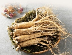 Top 10 Loại Sâm Hàn Quốc Đỉnh Cao: Sức Khỏe và Sắc Đẹp Từ Tự Nhiên