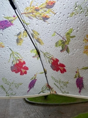 Ô Trong Họa Tiết Hoa Plantica