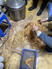 Sâm tươi Hàn Quốc