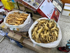 Sâm tươi Hàn Quốc