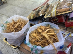 Sâm tươi Hàn Quốc