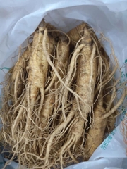 Sâm tươi Hàn Quốc