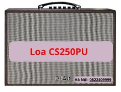 Loa ACNOS CS250PU