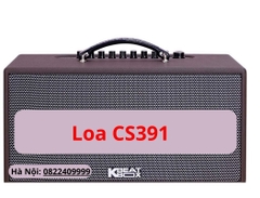 Loa ACNOS CS391