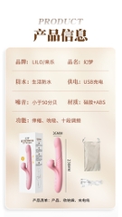 DV LILO nhánh quạt điểm G